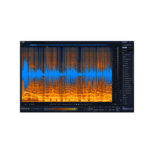 Izotope RX 12 Standard: Update from RX 11 Standard